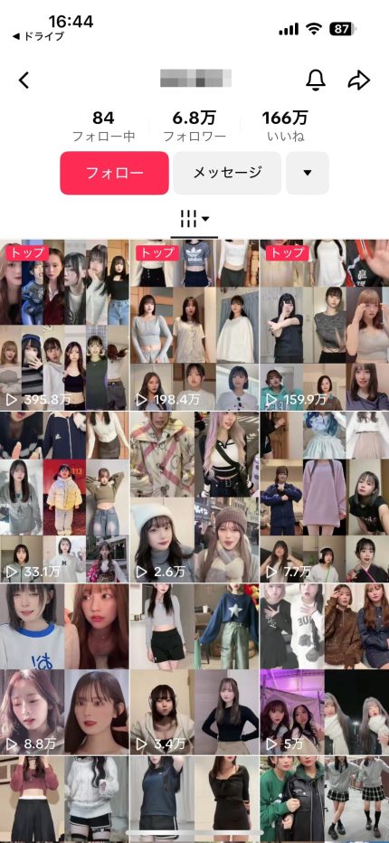 TikTokアダルトアフィリエイトのジャンル