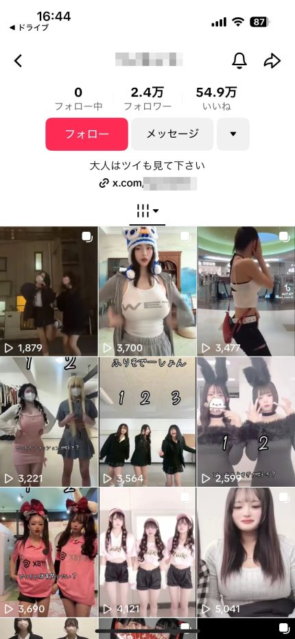 TikTokアダルトアフィリエイトのジャンル
