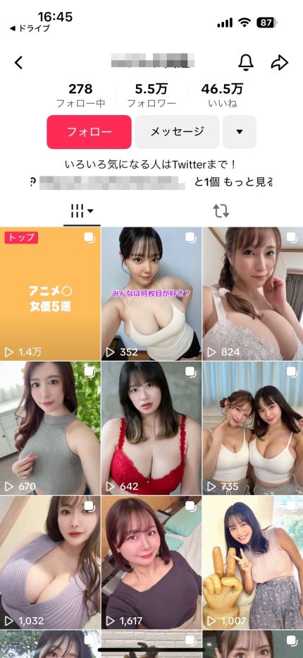 TikTokアダルトアフィリエイトのジャンル