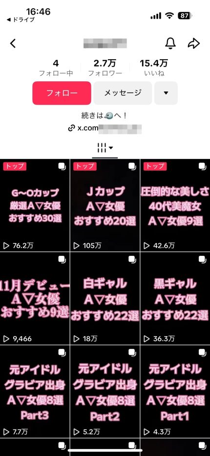 TikTokアダルトアフィリエイトのジャンル
